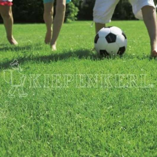 Kiepenkerl RSM 2.3 Gebrauchsrasen Spielrasen mit Poa supina 10 kg