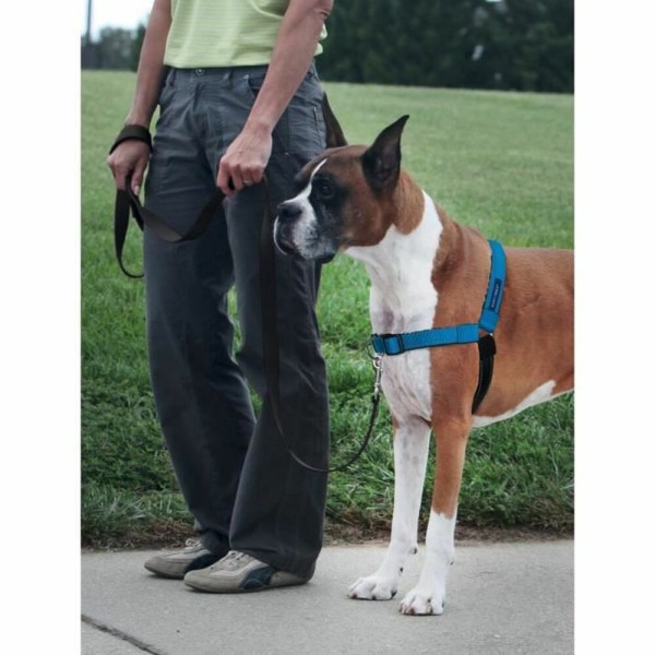 Hundegeschirr Easy Walk Blau M/L